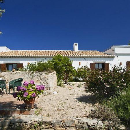 Monte Do Alamo - Turismo Rural Tavira Kültér fotó