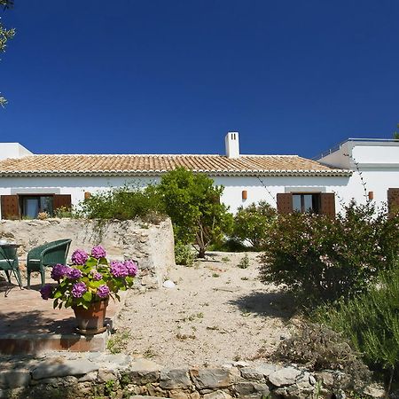 Monte Do Alamo - Turismo Rural Villa Tavira Kültér fotó